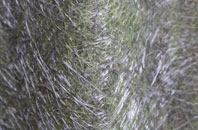 High Cogges fibreglass roof work